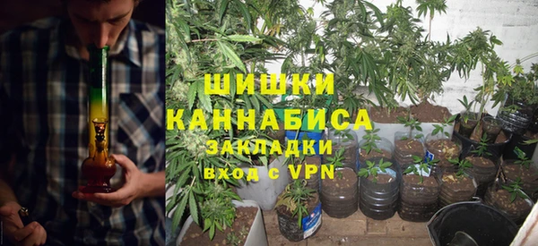 MESCALINE Аркадак