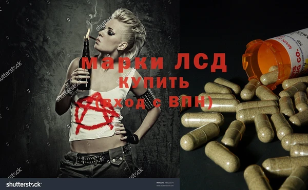 MESCALINE Аркадак