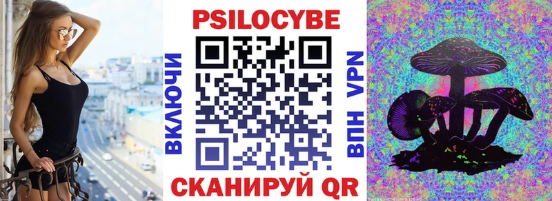 Галлюциногенные грибы Magic Shrooms  Купить где  Тбилисская 
